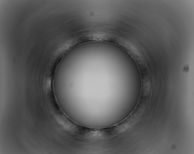 X0000101210310200807071345