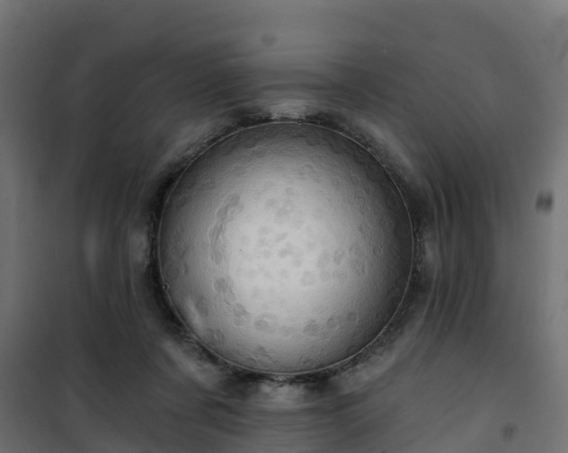 X0000101210311200807071345