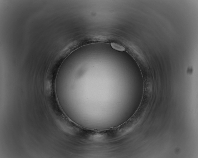 X0000101210312200807071345