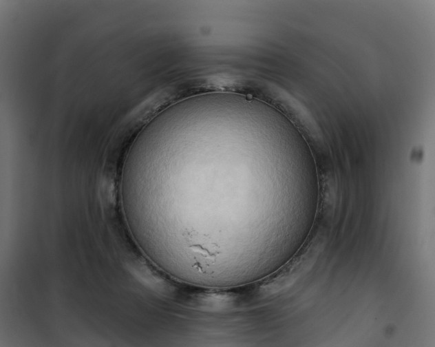 X0000101210313200807071345