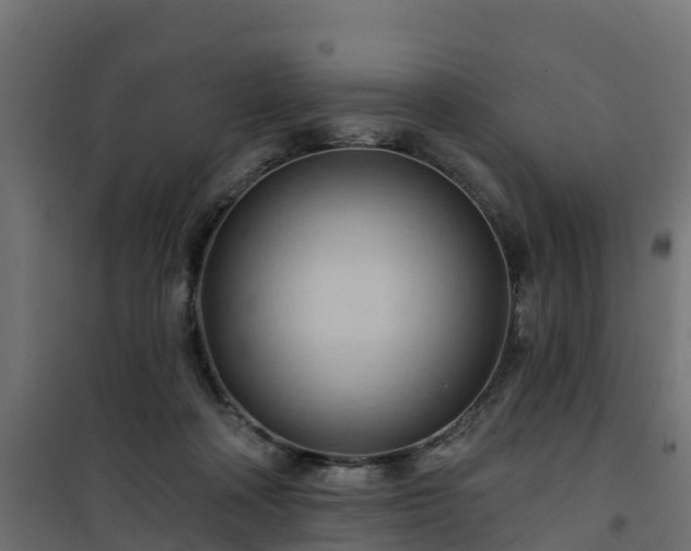 X0000101210314200807071345