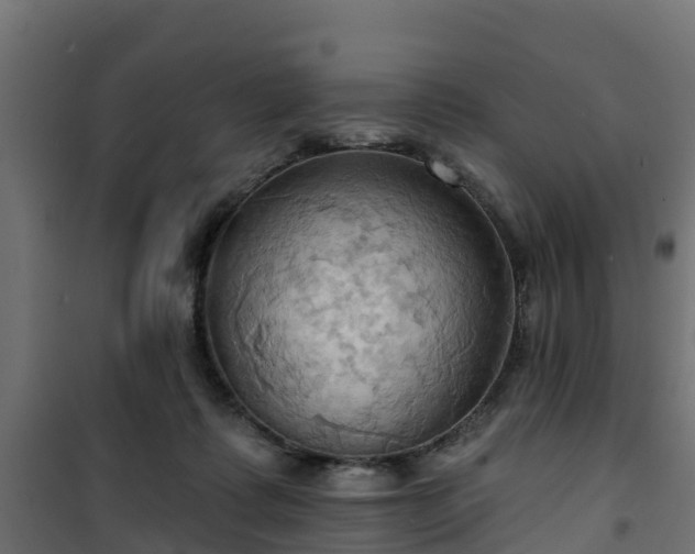 X0000101210315200807071345