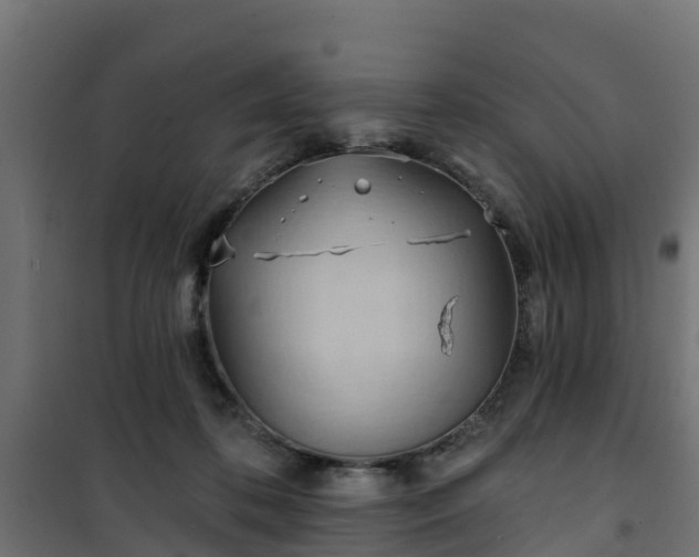 X0000101210316200807071345