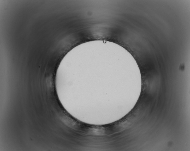 X0000101210317200807071345