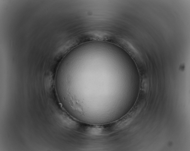 X0000101210318200807071345