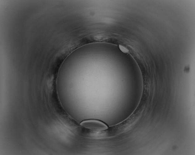 X0000101210319200807071345