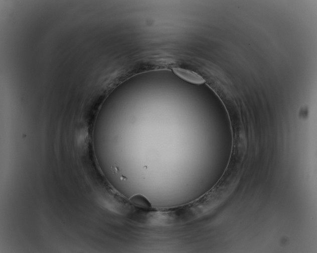 X0000101210320200807071345