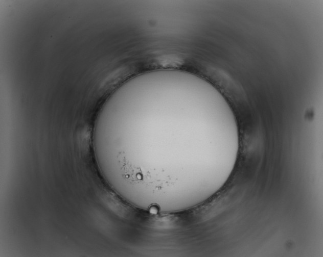 X0000101210321200807071345