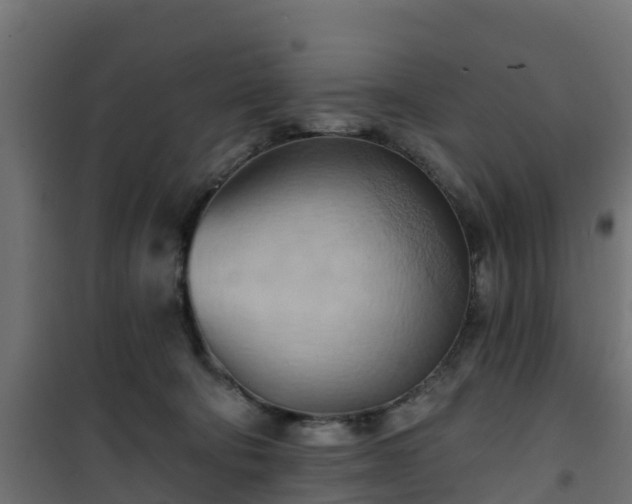 X0000101210322200807071345