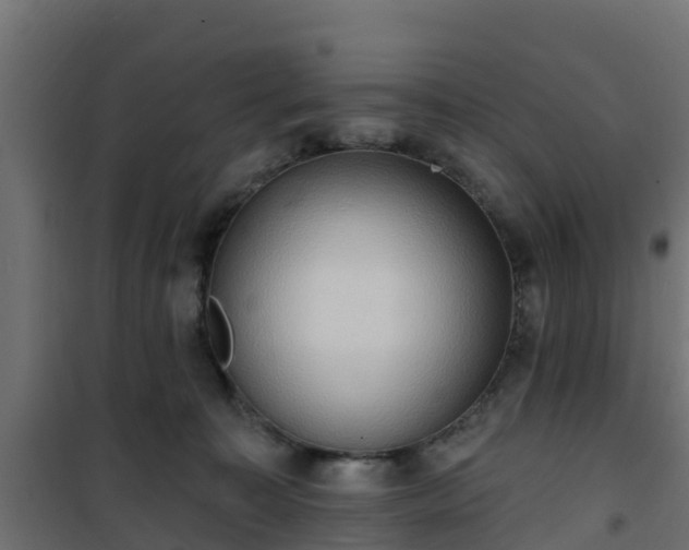 X0000101210323200807071345