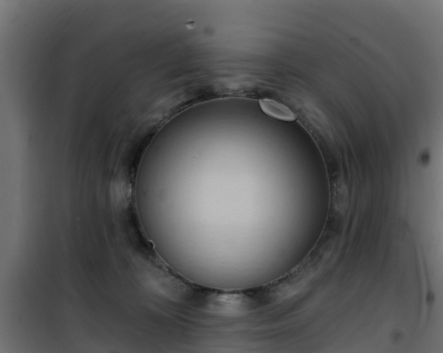 X0000101210324200807071345