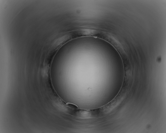 X0000101210325200807071345