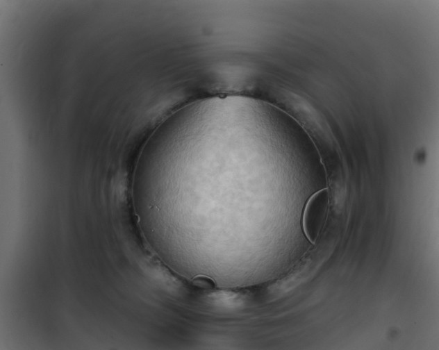 X0000101210326200807071345