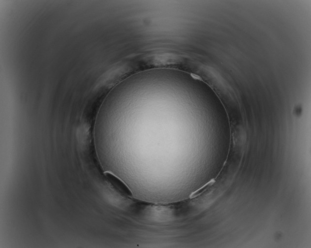 X0000101210327200807071345