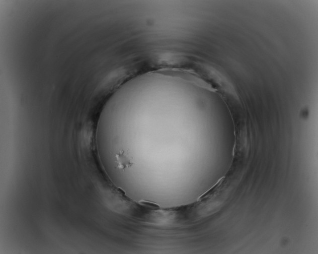 X0000101210328200807071345