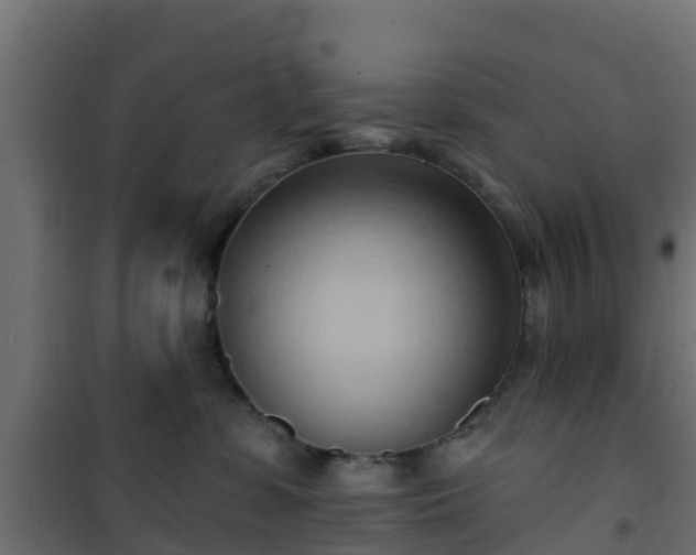 X0000101210331200807071345