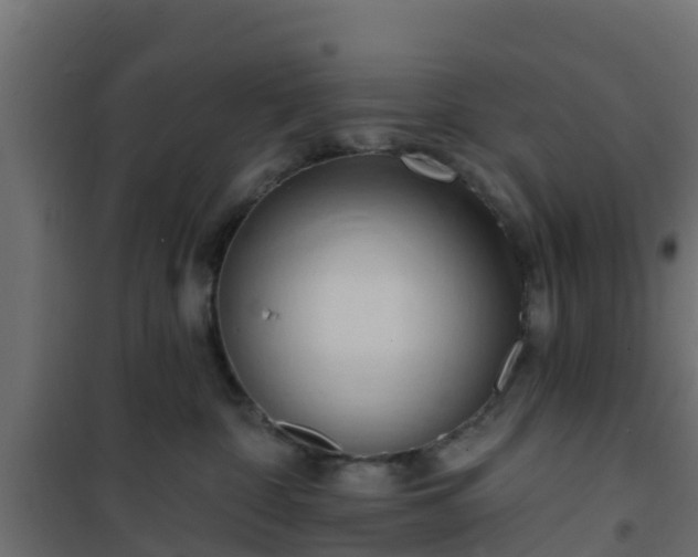 X0000101210332200807071345