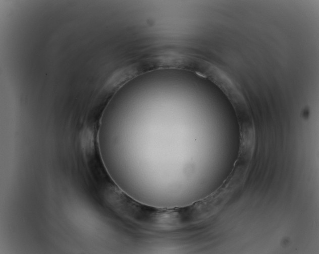 X0000101210333200807071345