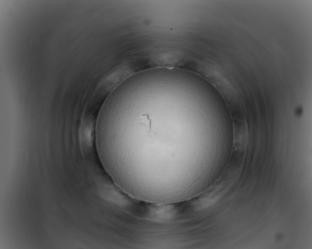 X0000101210334200807071345