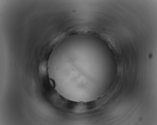 X0000101210335200807071345