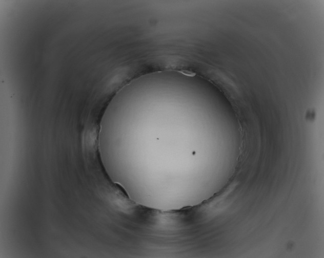 X0000101210336200807071345