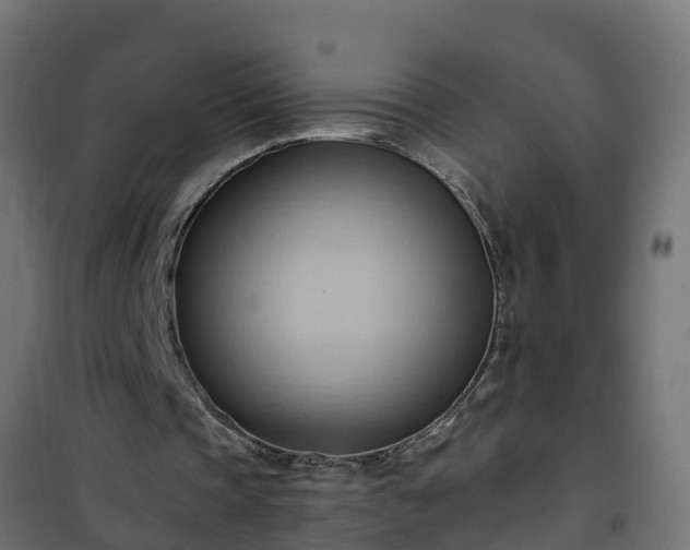 X0000101210337200807071344