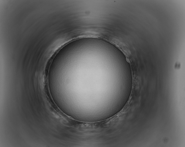 X0000101210338200807071344