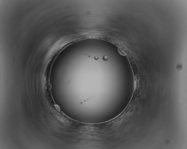 X0000101210339200807071344