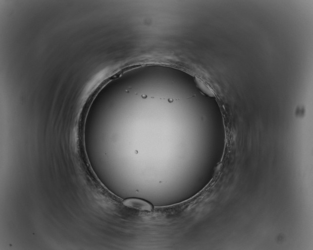 X0000101210340200807071344