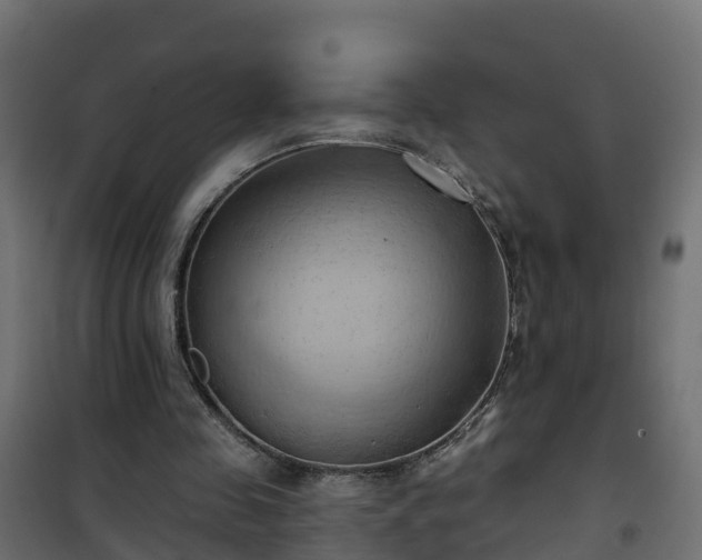 X0000101210341200807071344