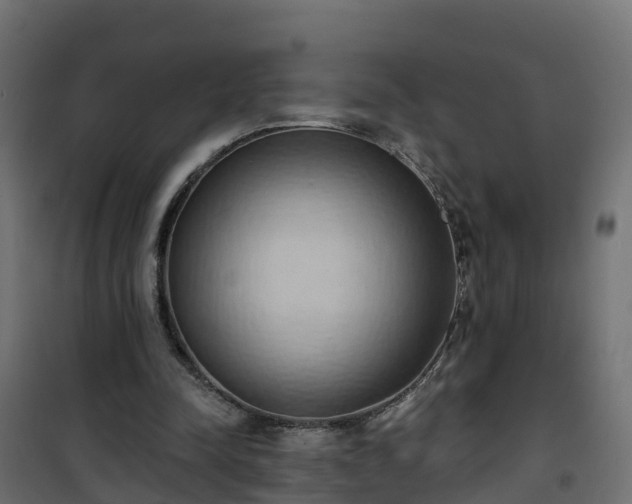 X0000101210342200807071344