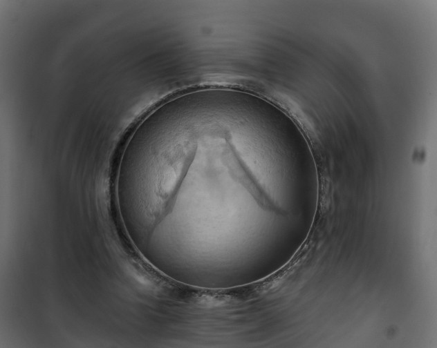 X0000101210346200807071344