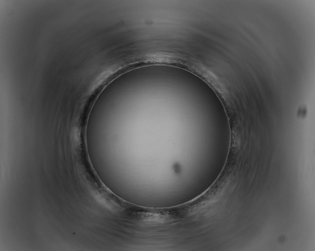 X0000101210347200807071344