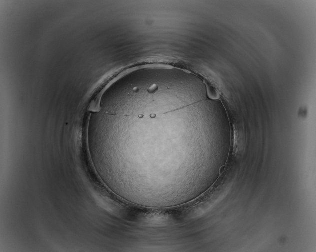 X0000101210348200807071344