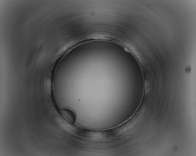 X0000101210349200807071344