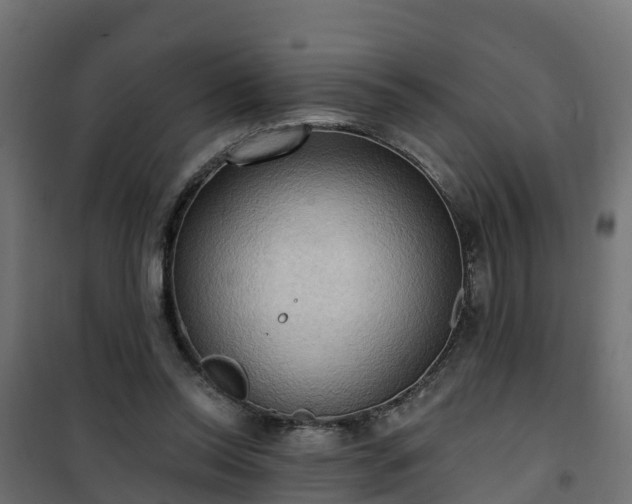 X0000101210350200807071344