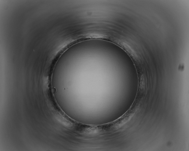 X0000101210351200807071344