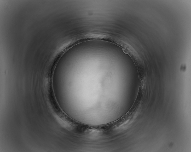 X0000101210352200807071344