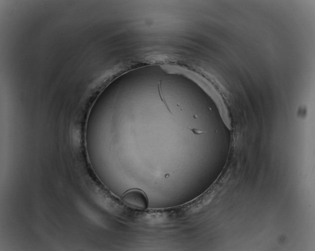 X0000101210353200807071344