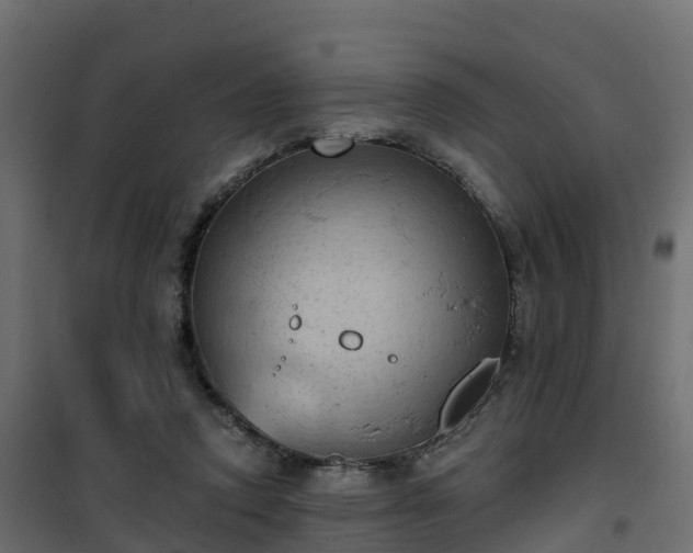 X0000101210354200807071344