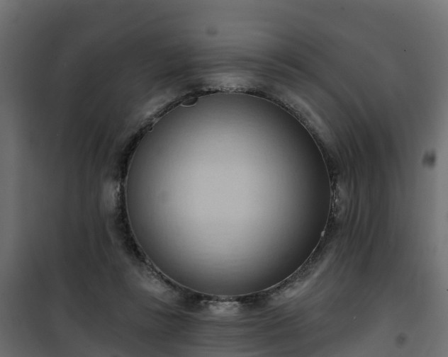 X0000101210355200807071344