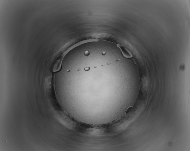 X0000101210356200807071344