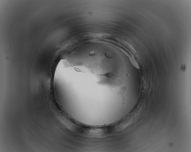 X0000101210357200807071344