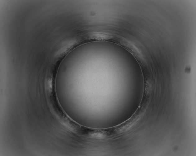 X0000101210358200807071344