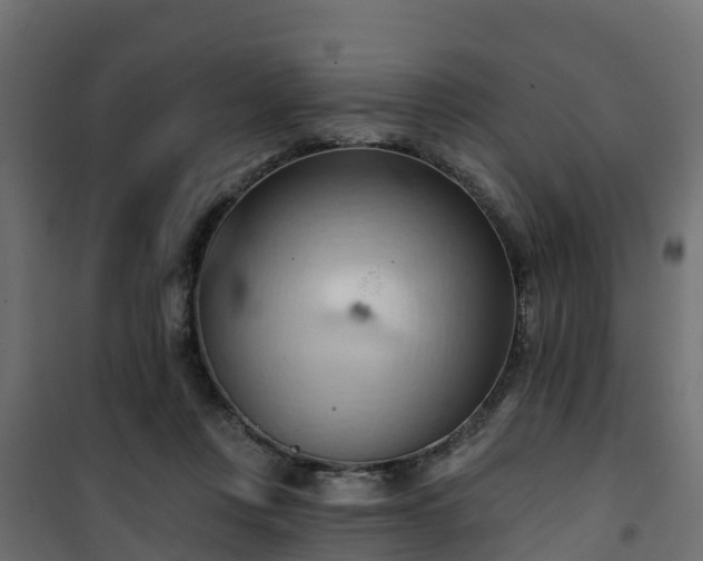 X0000101210359200807071344