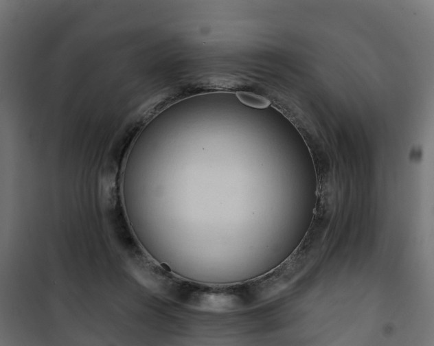 X0000101210360200807071344