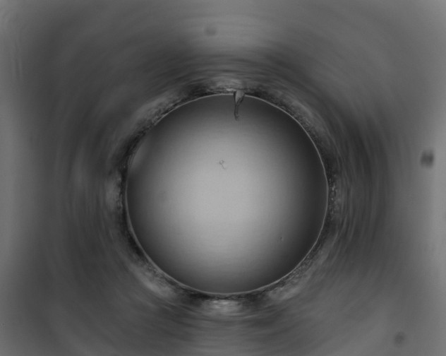 X0000101210361200807071344