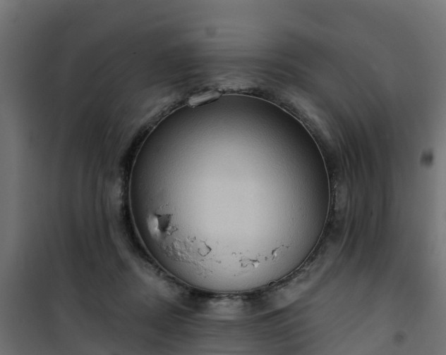 X0000101210362200807071344