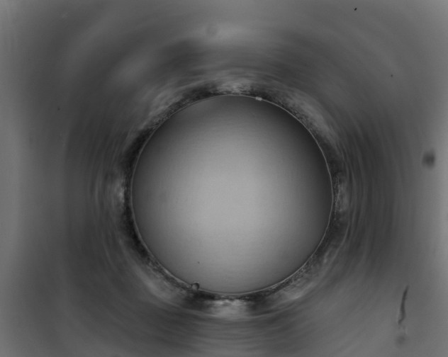 X0000101210363200807071344