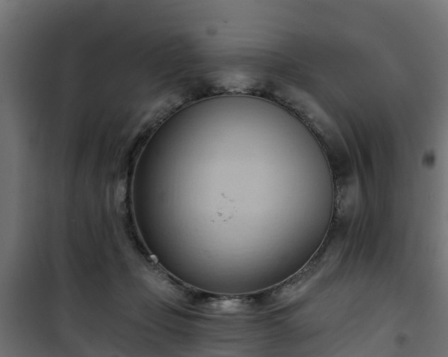 X0000101210365200807071344